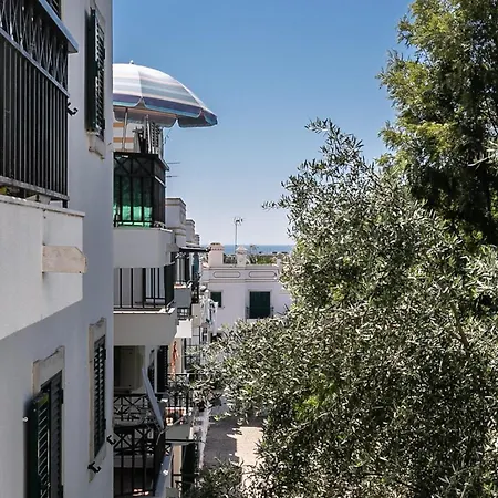 Do Sol 2 T1 By Yha *